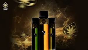 Ace Ultra Premium Disposable