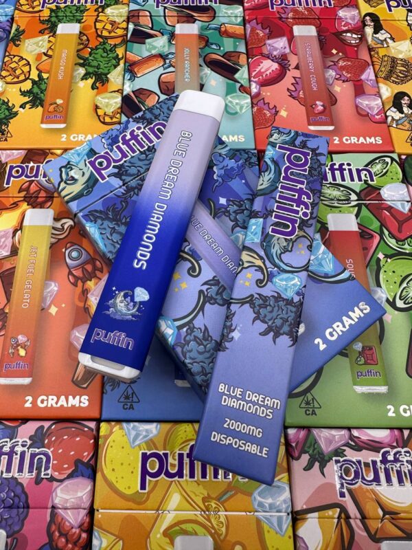 Puffin Blueberry Cookies 2g