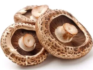 Microdosing Psilocybin
