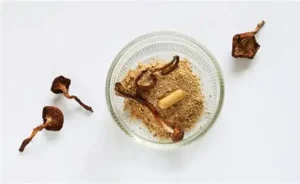 Psilocybin for depression